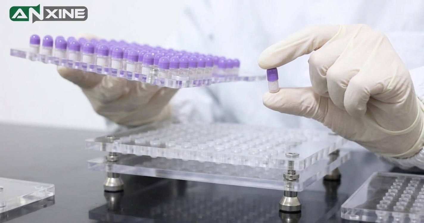 manual capsule filling machine working principle