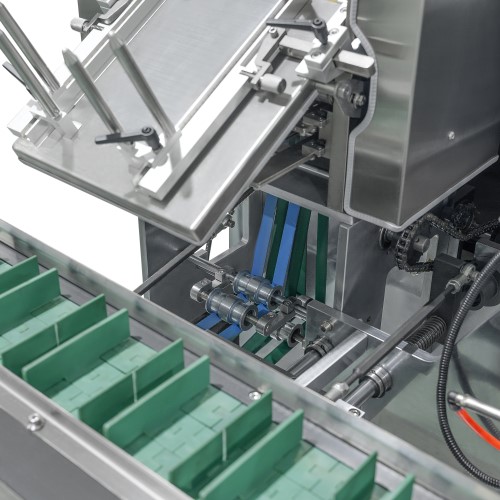 Carton erection system
