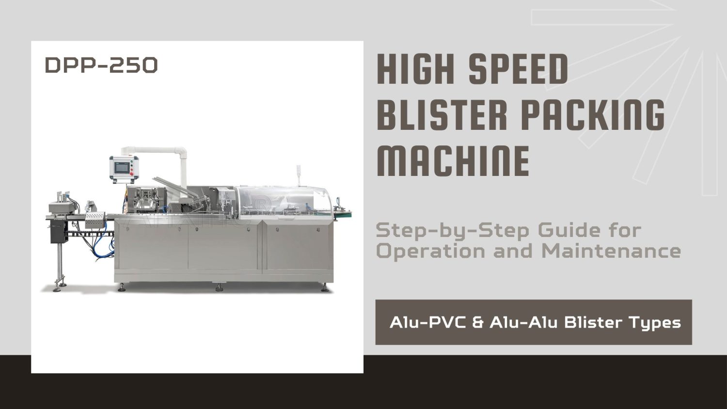High-Speed Blister Packing Machine DPP-250